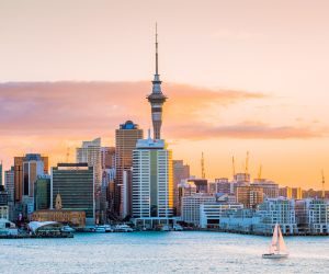 Study in New Zealand- Rankora Consulting