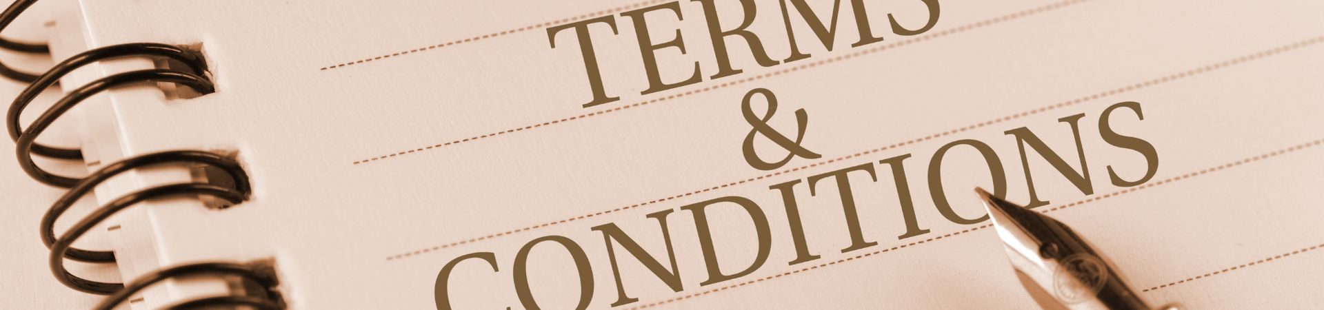Terms & Conditions - Rankora Consulting